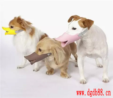 硅膠制品